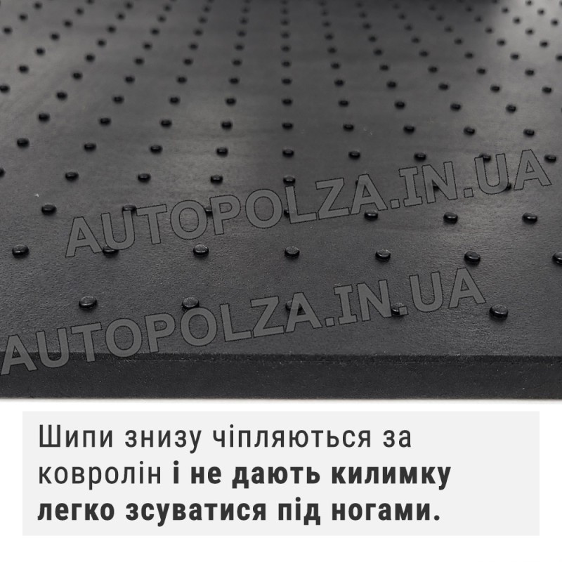 Коврики передние в Daewoo Lanos, Sens резиновые Evolution (2 шт.)
