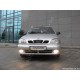 Дуга (кенгурятник) на бампер Daewoo Lanos, Sens, Chevrolet Lanos з нержавіючої сталі Pan